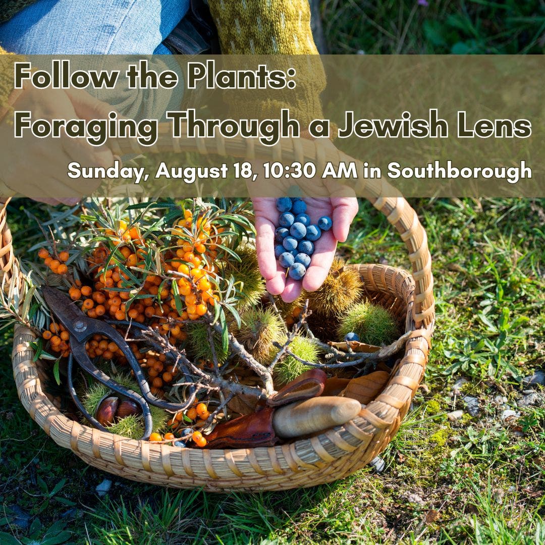 Follow the Plants: Foraging Through a Jewish Lens