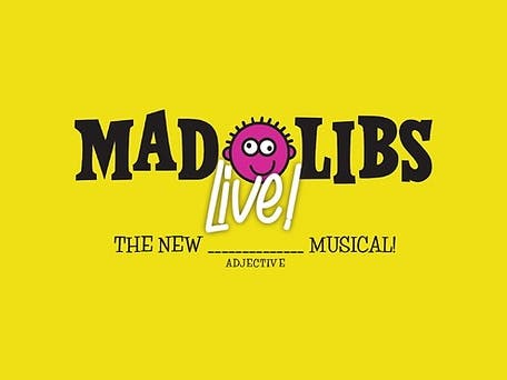 Mad Libs Live! has Regional Debut in Kids Fringe Ft Myers 