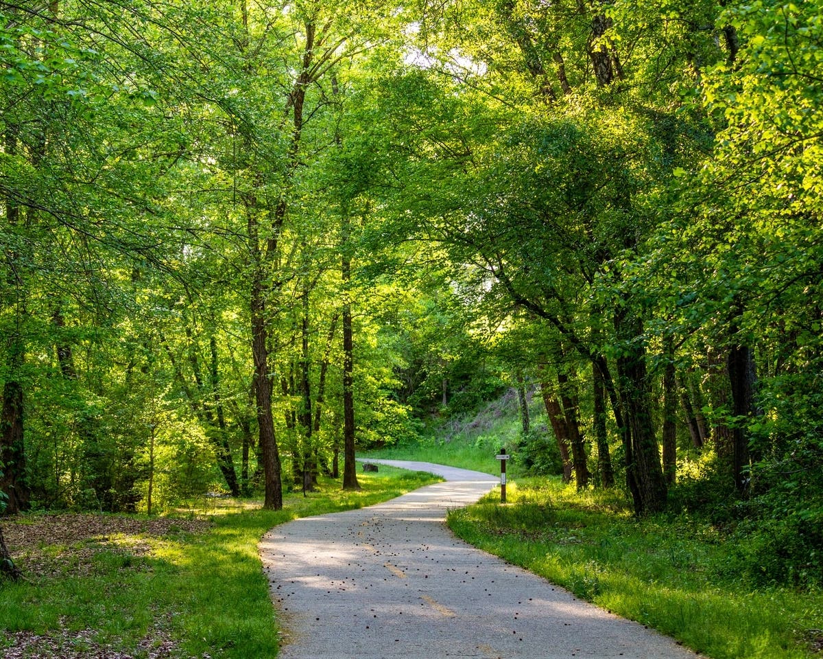 The Warminster EAC has pitched plans to plant 100 trees near the Ben Wilson Community Center.