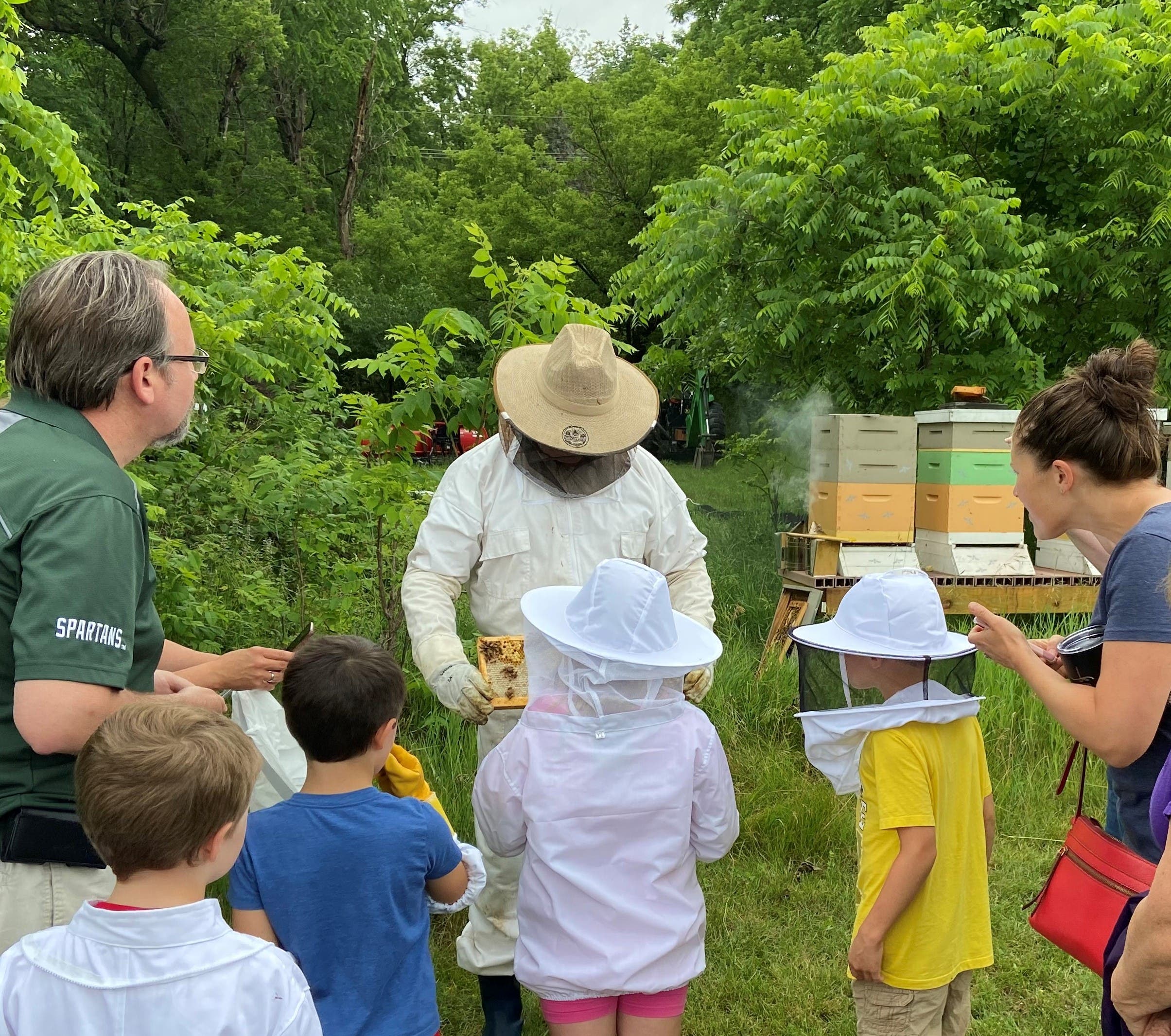 Honey Harvest