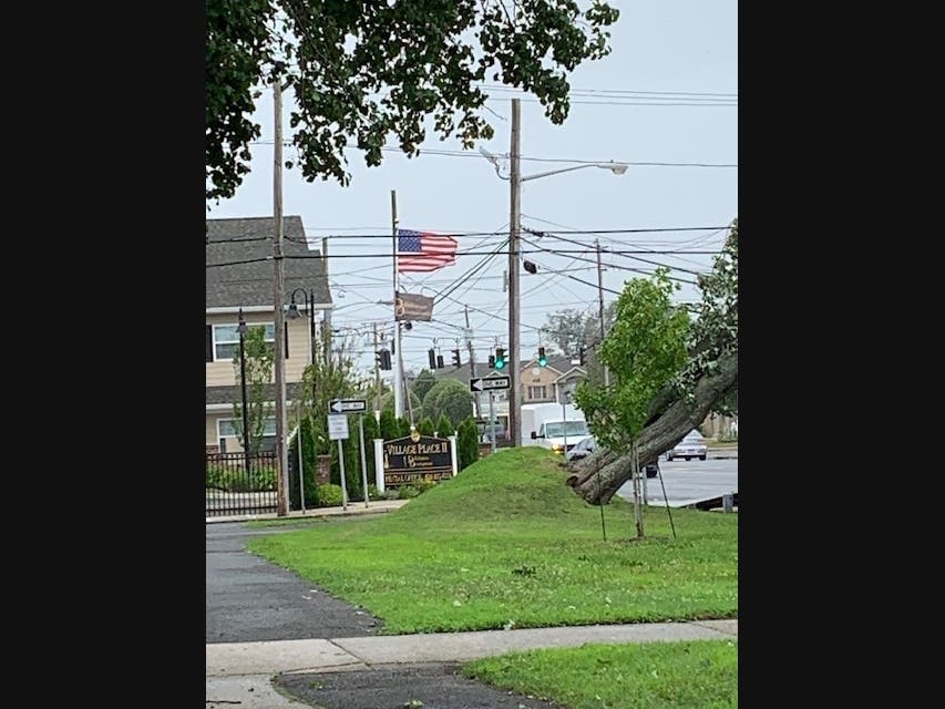 Trees Down in Lindy