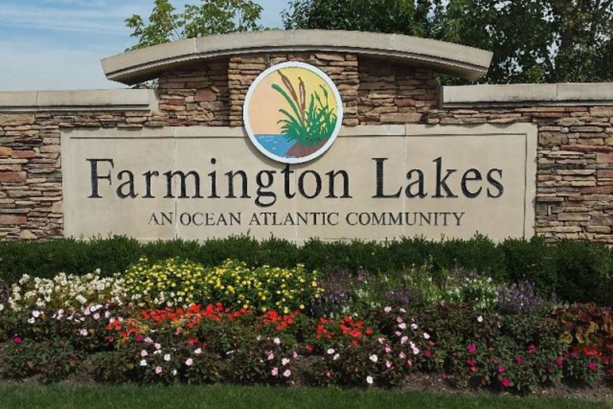 Farmington Lakes, Oswego, Illinois - March 2019