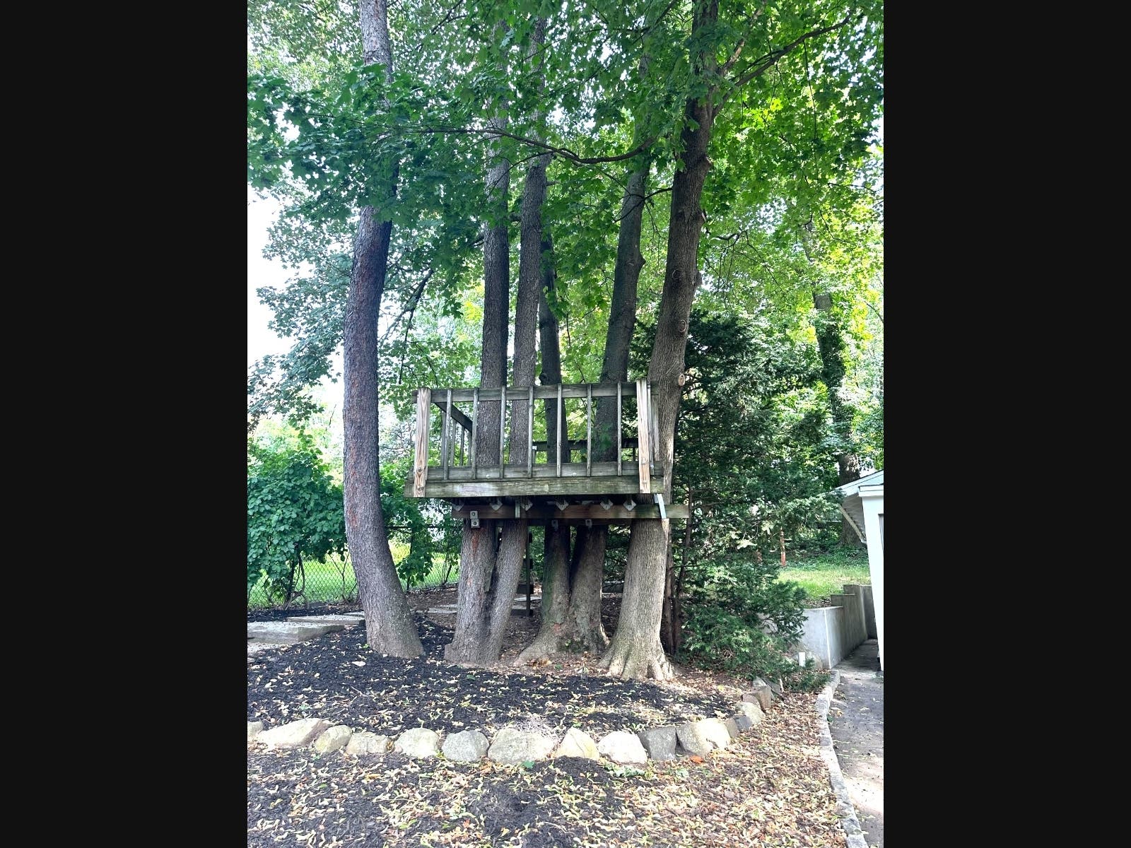 BOGO:  Buy this Tree House and get a Home with it