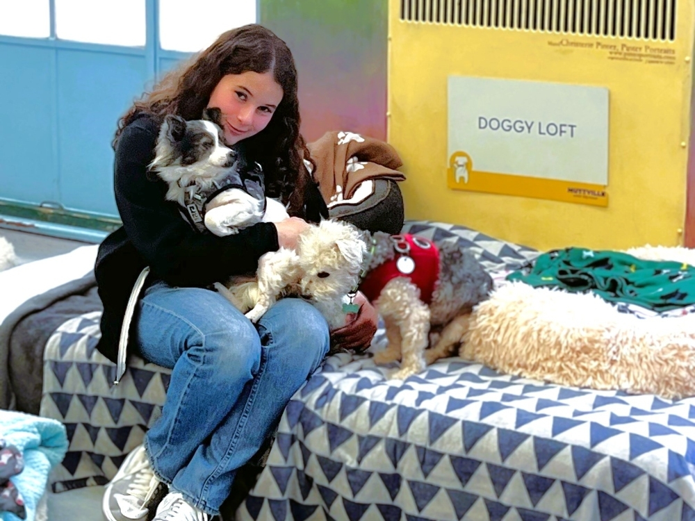 Sofie volunteers her time and heart at Muttville Senior Dog Rescue in San Francisco, Calif.