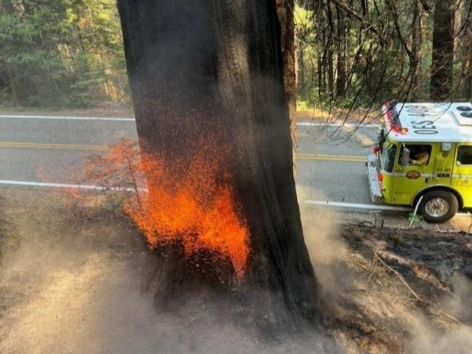 Alameda Firefighters Battle Park Fire