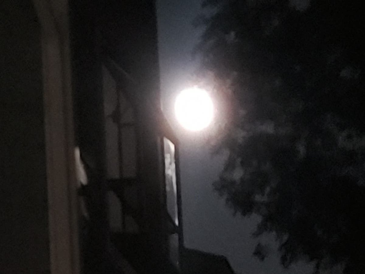 Full Moon Peeks Into Fremont Backyard: Photo Of The Day 