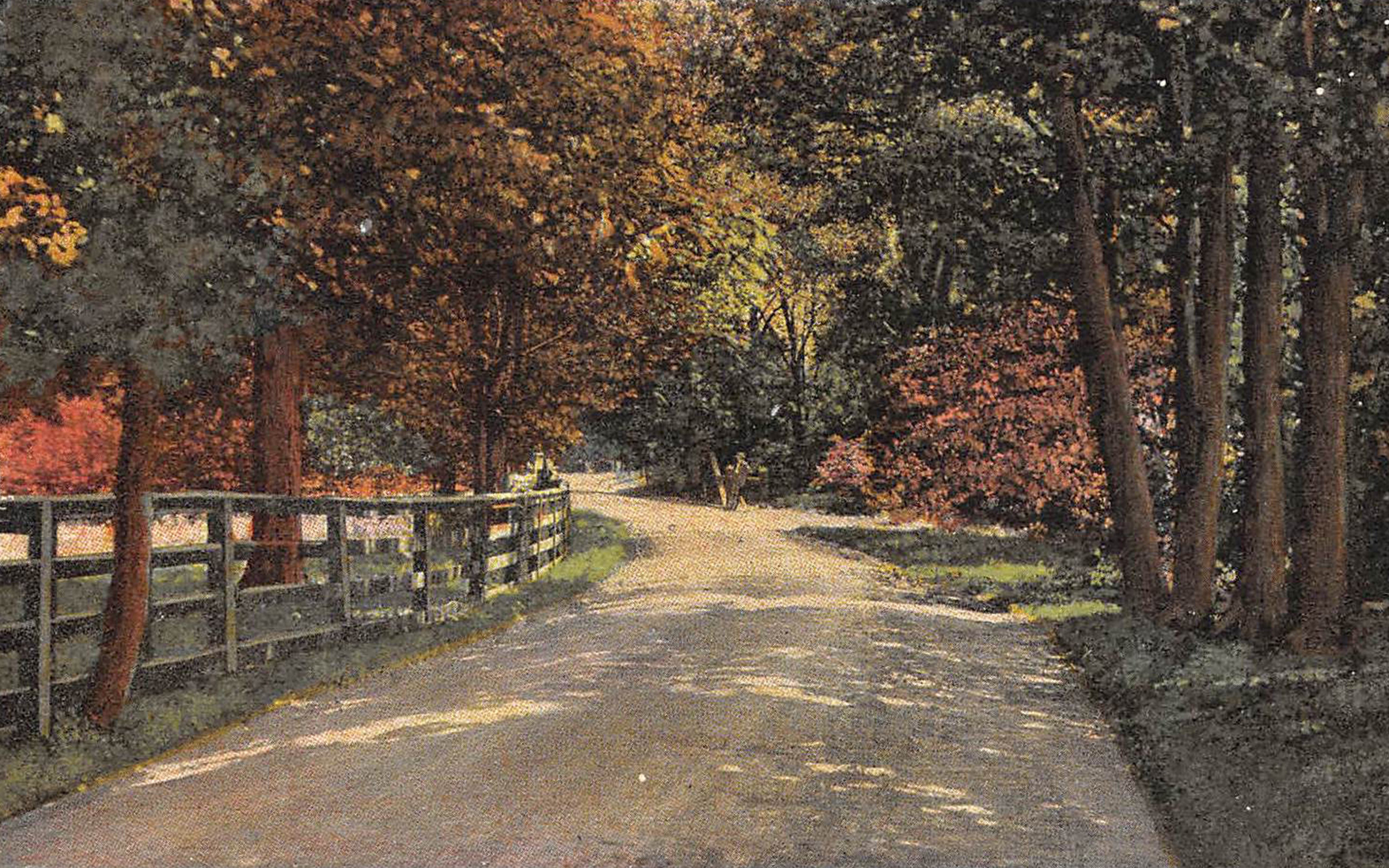 The Making of Our Neighborhood, 19th Century to Present (Neighborhood Walk)