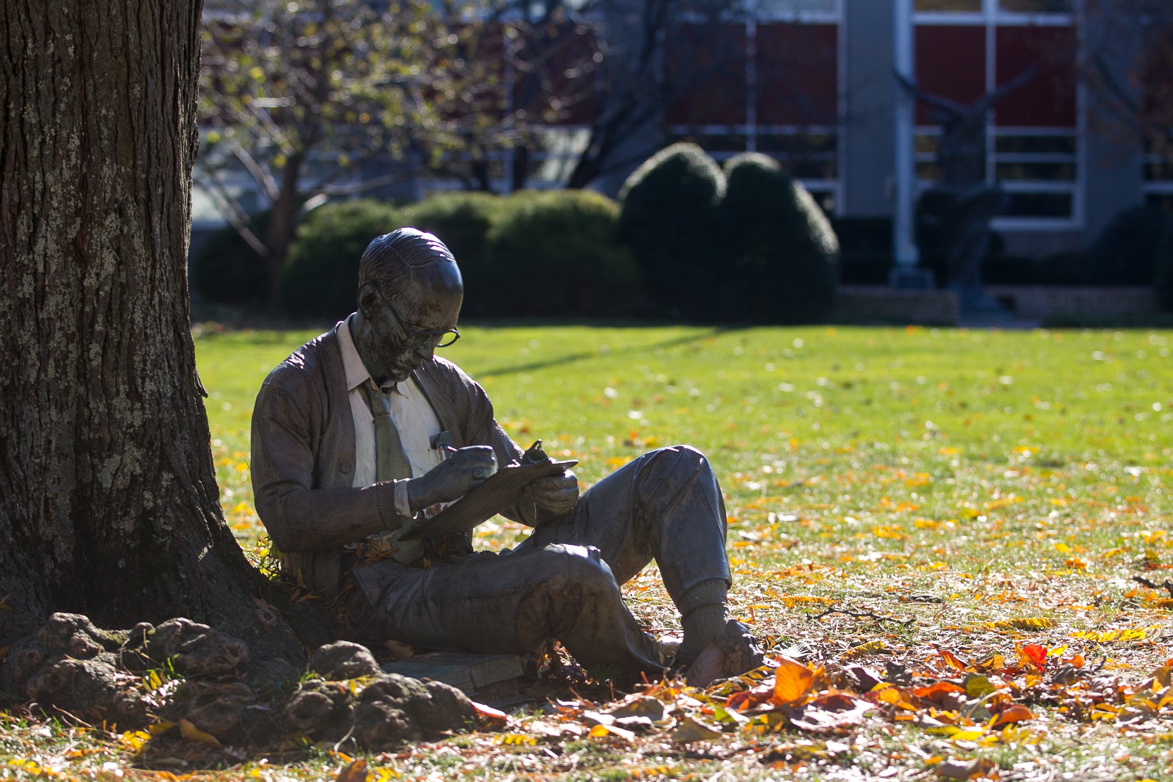 Branching Out: A Tree and Sculpture Tour