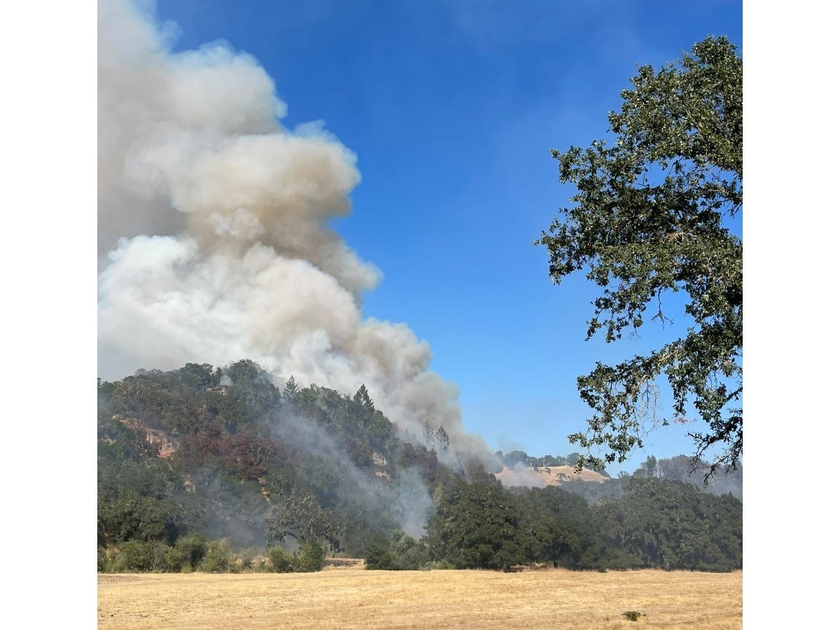 Flora Fire Burning In Sonoma County