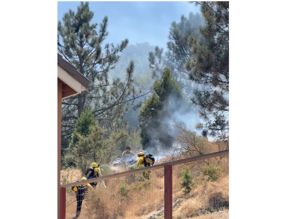 The Petaluma Fire Department responds to a vegetation fire Wednesday in the Quarry Heights neighborhood.