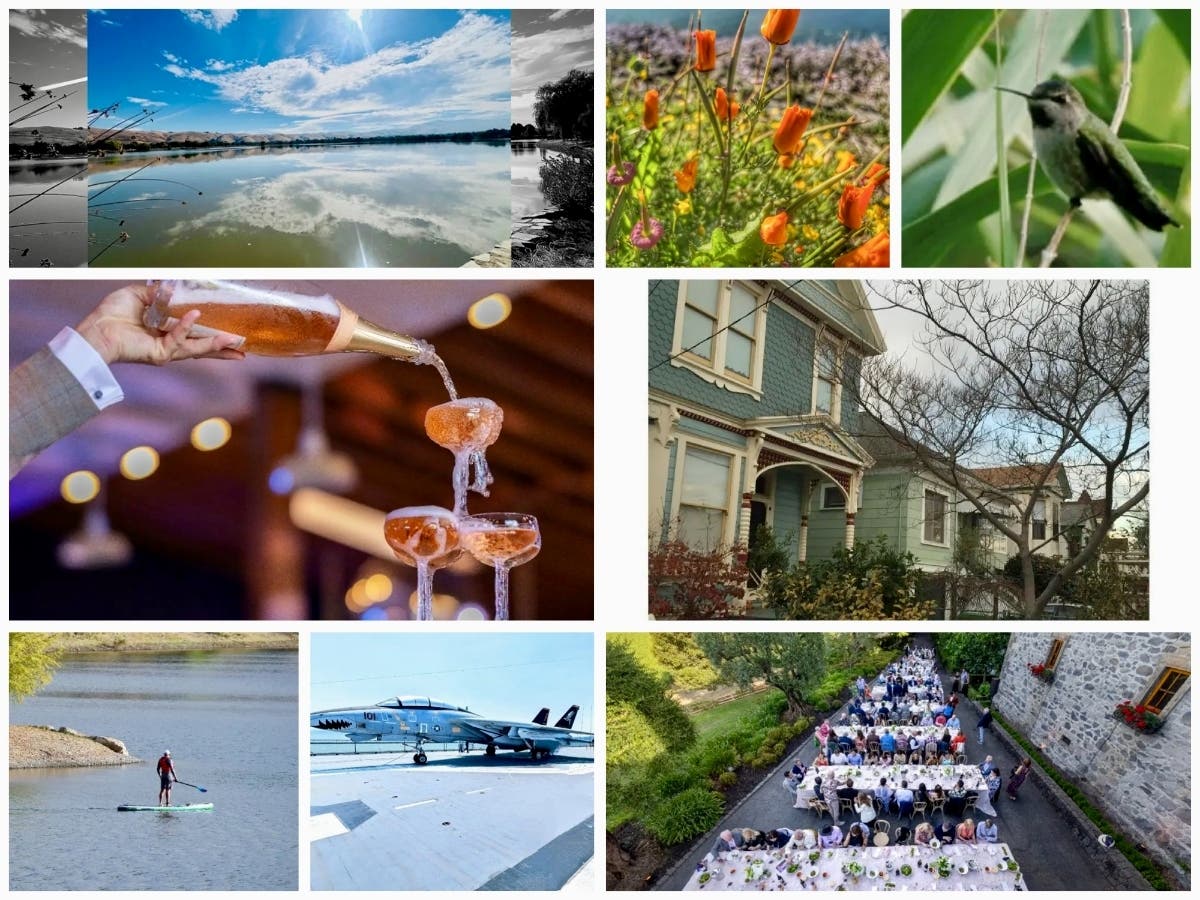 Clockwise from top left: Expansive Lake Elizabeth Under Blue Sky; Vibrant Colors Shine In Sunlight At Oyster Point; Hummingbird Scopes Out Flowers; Victorian Homes In Central Alameda; Napa Valley Auction Weekend; Visit To USS Hornet; Weekend Paddle