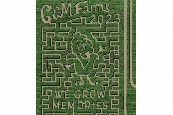 G&M Farms Corn Maze & Halloween Pumpkin Patch 2023: Livermore