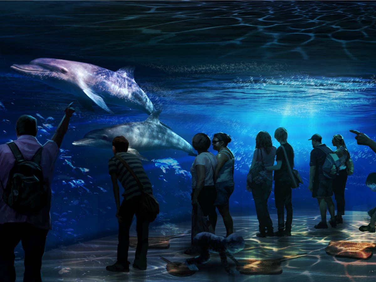 Meet Dolphins & Great White Sharks In Times Square This Fall