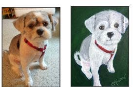 Paint Your Pet Pal