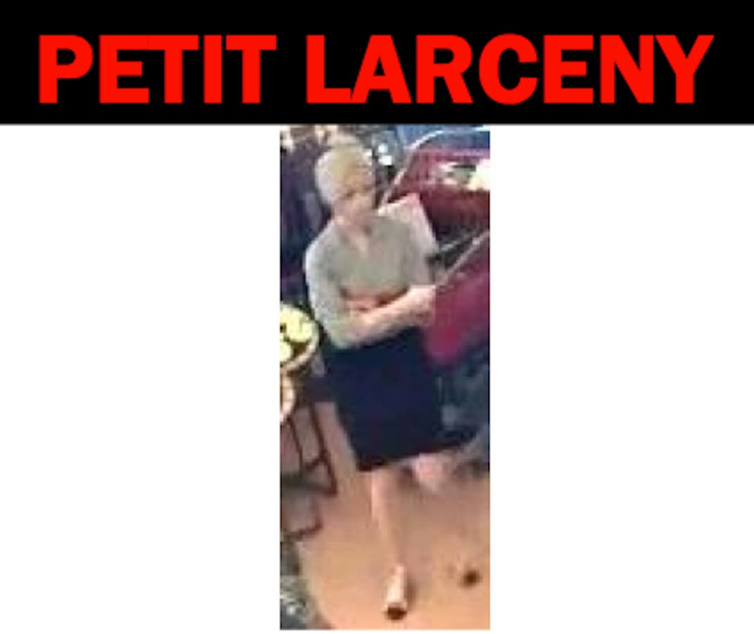 Woman Wanted For Stealing From Hicksville Target