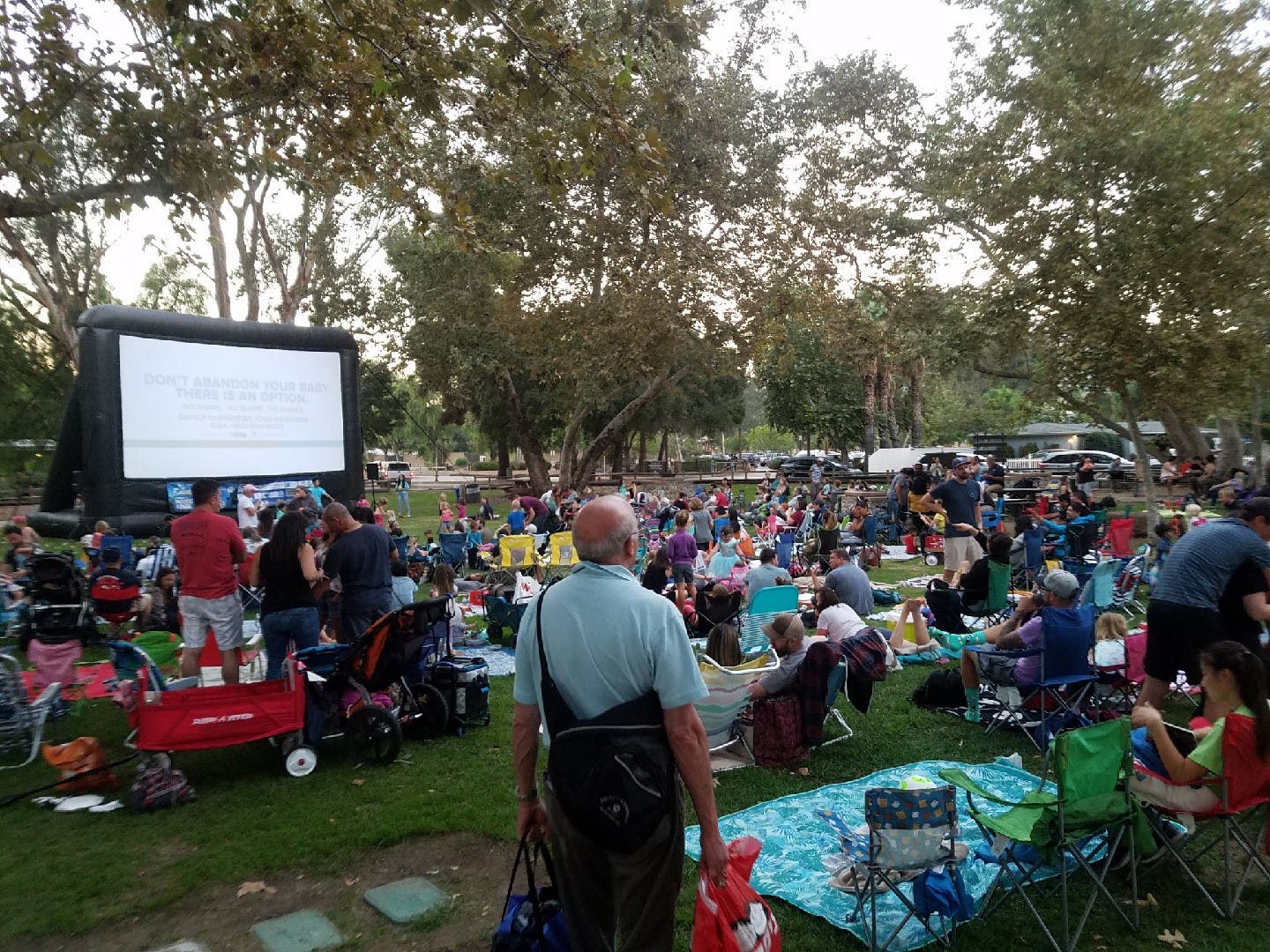 Summer Movies in the Park: Hook