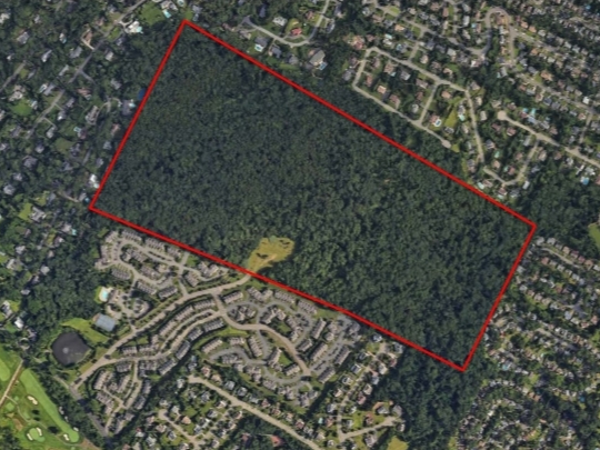 Build Housing On Forest In West Orange? Not So Fast, Commission Says