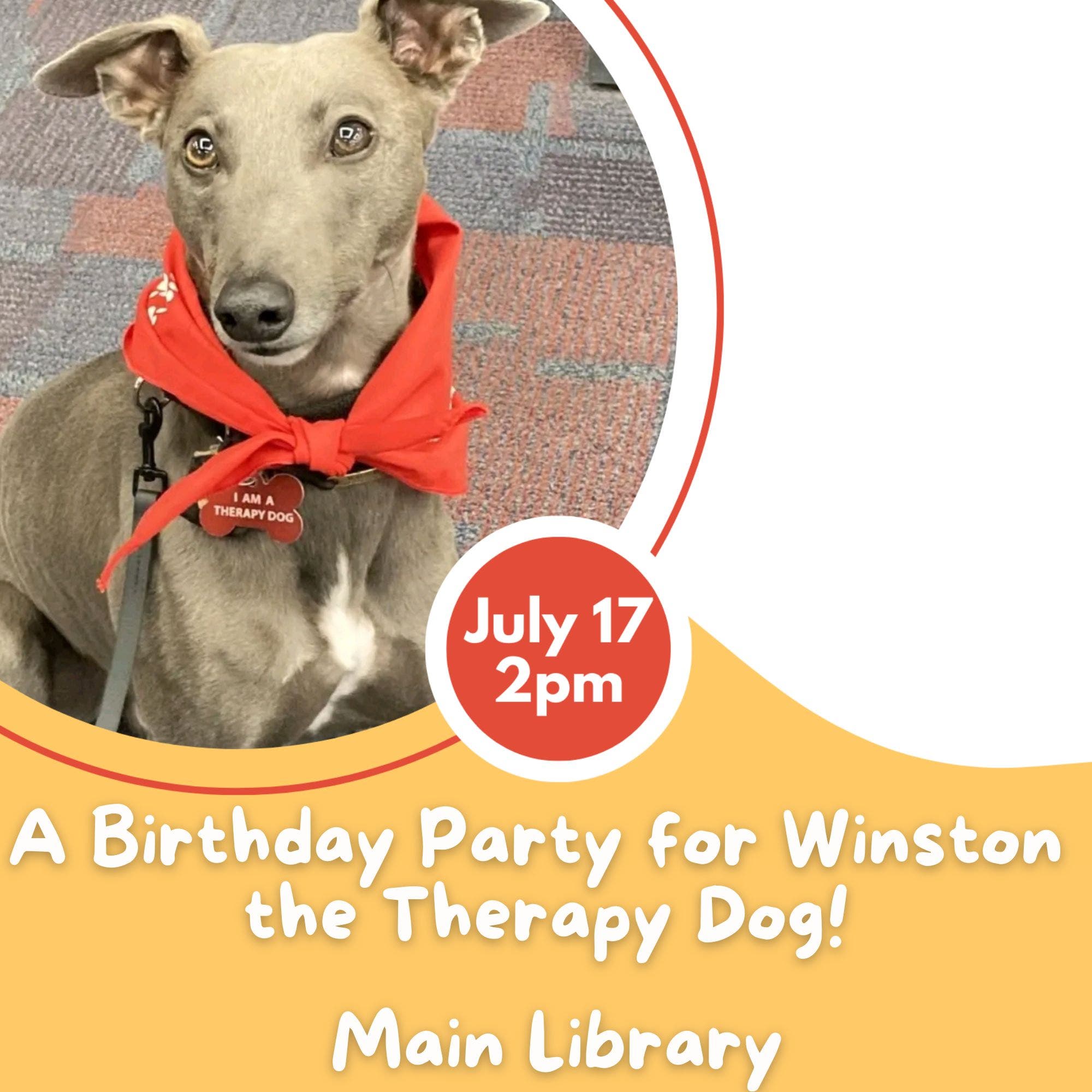 A Birthday Party for Winston the Therapy Dog!