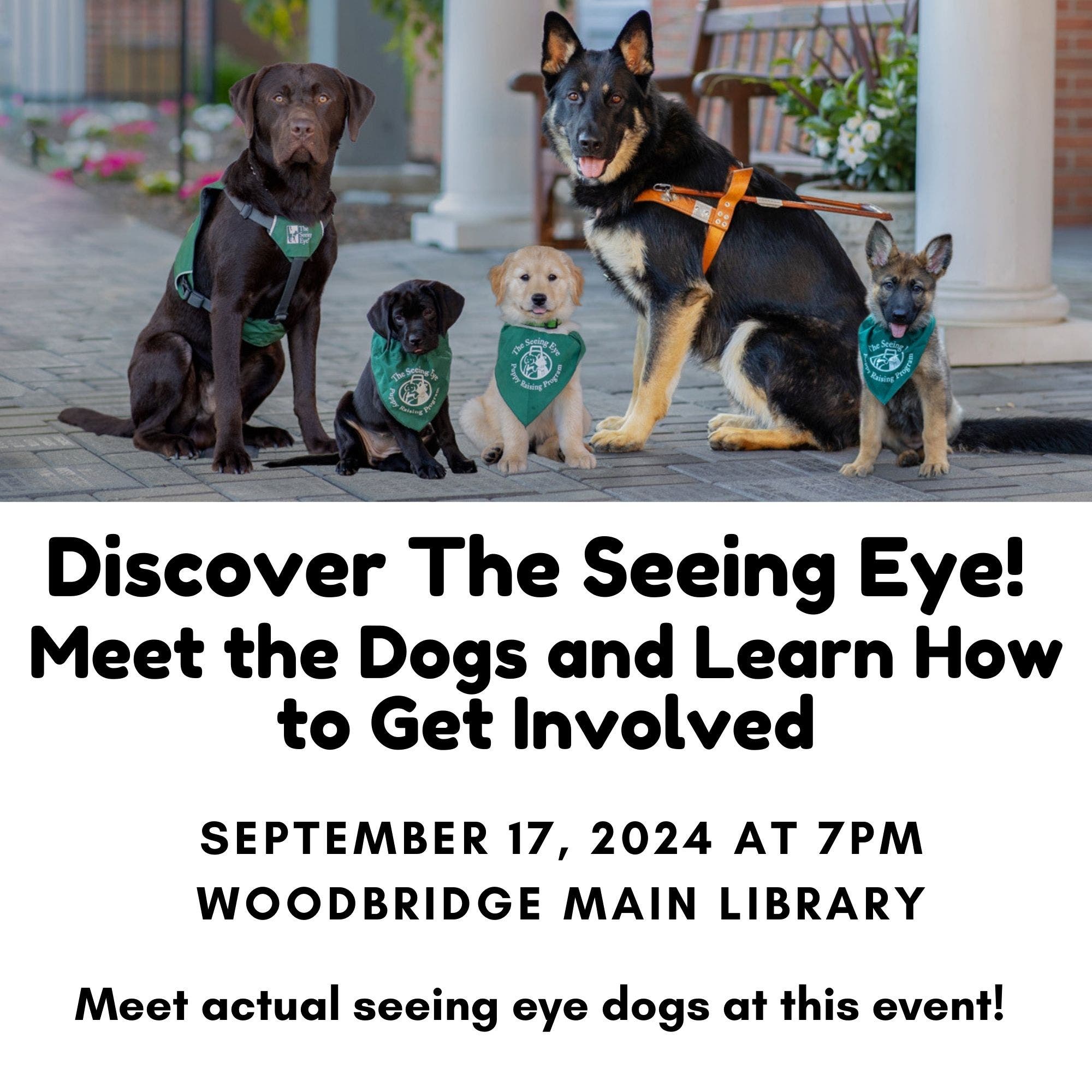 Discover The Seeing Eye: Meet the Dogs and Learn How to Get Involved