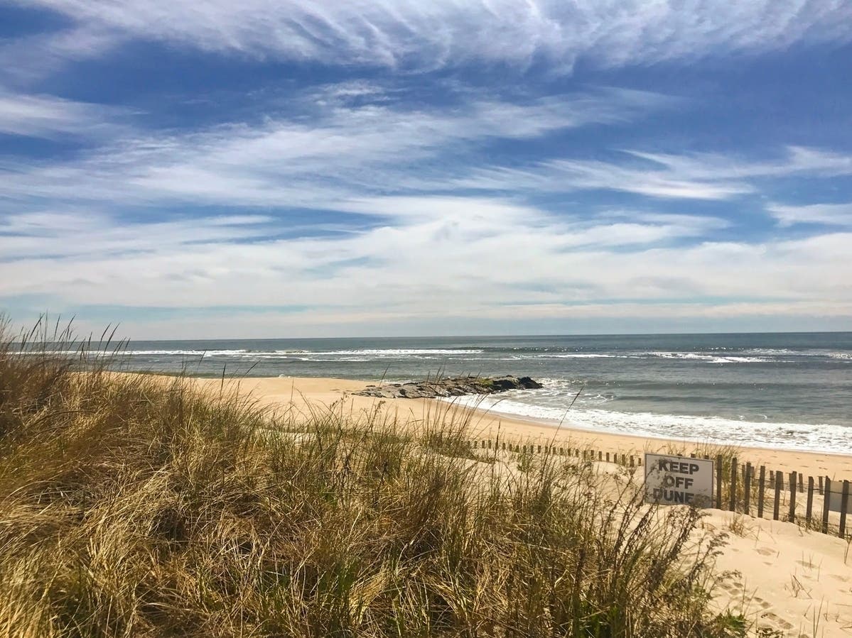 🌱 Get Your Westhampton News Quickly With Patch's Daily Roundup