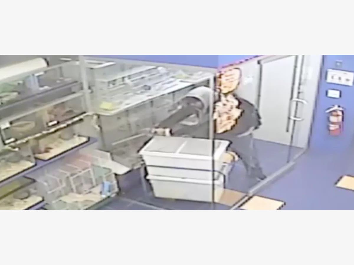 Watch: Man Steals 'Exotic' Bird From Williamsburg Pet Store