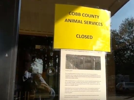 Two Dogs Die From 'Strep Zoo' At Cobb Animal Shelter 