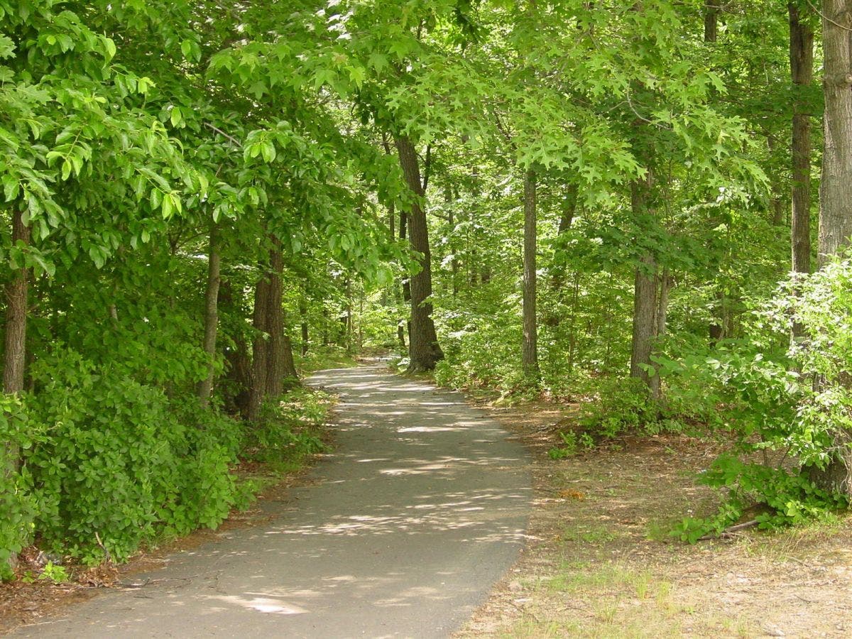 Solar Field Proposed for South Brunswick Landfill Site