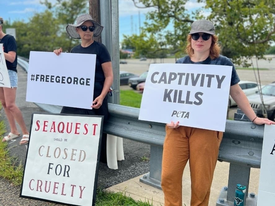 Protesters Return To Woodbridge Center Mall SeaQuest: 'Shut It Down'