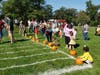 Pumpkin Rolling Races.