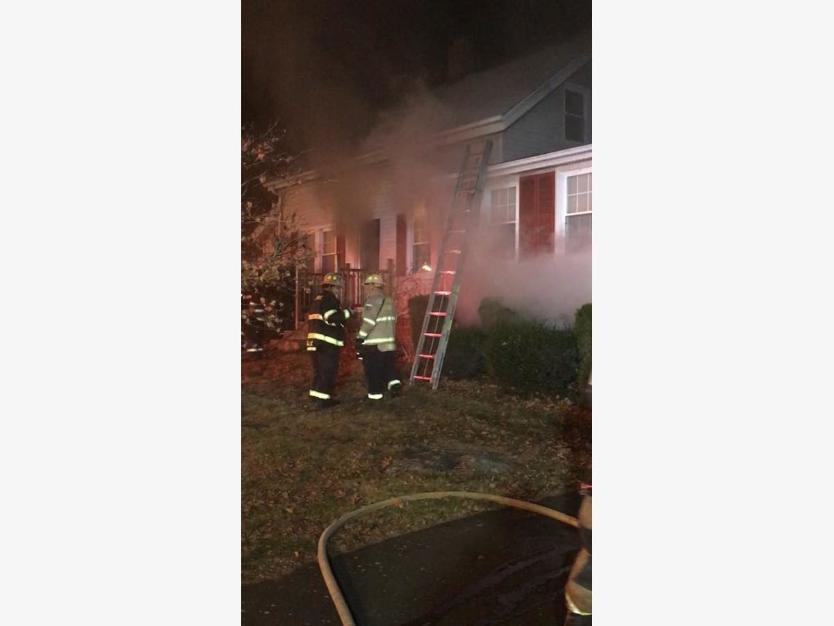 House Cat Revived After Monroe Blaze