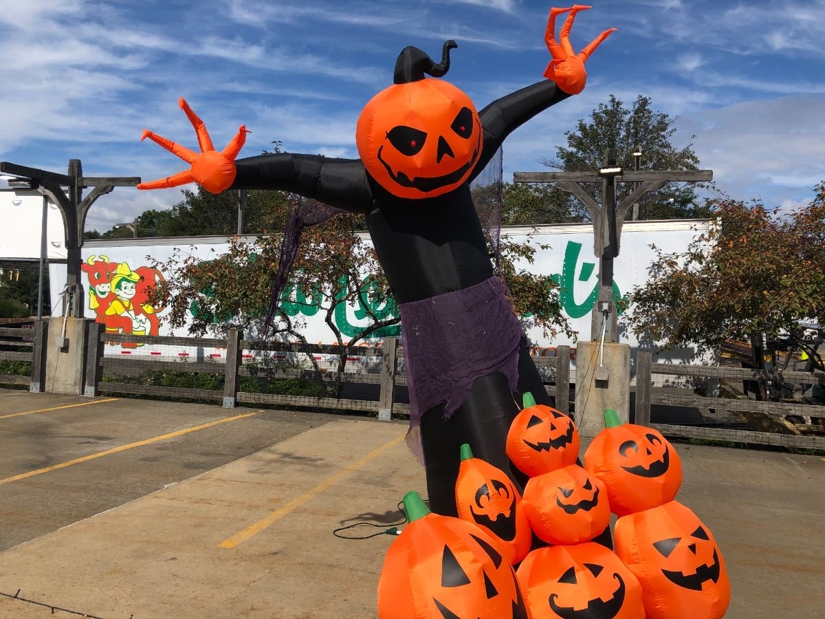 Halloween Drive Through Opens At Stews Leonard's In Norwalk