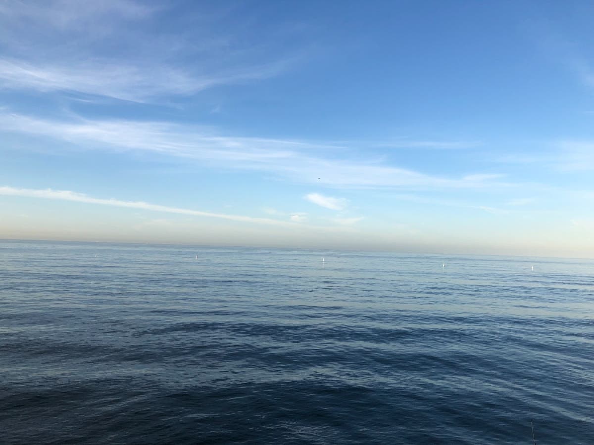 More than 70 feet long and nearly 20 feet tall, the interceptor barge will be held in place by six mooring lines that will span across the Ballona Creek be anchored in the north and south jetties, the petition states.