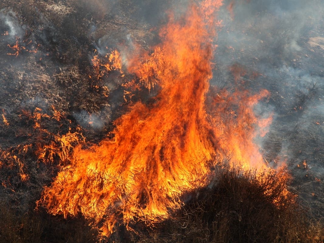 Firefighters were able to knock down the fire just after 2 p.m. Saturday, according to the Murrieta Fire Department.