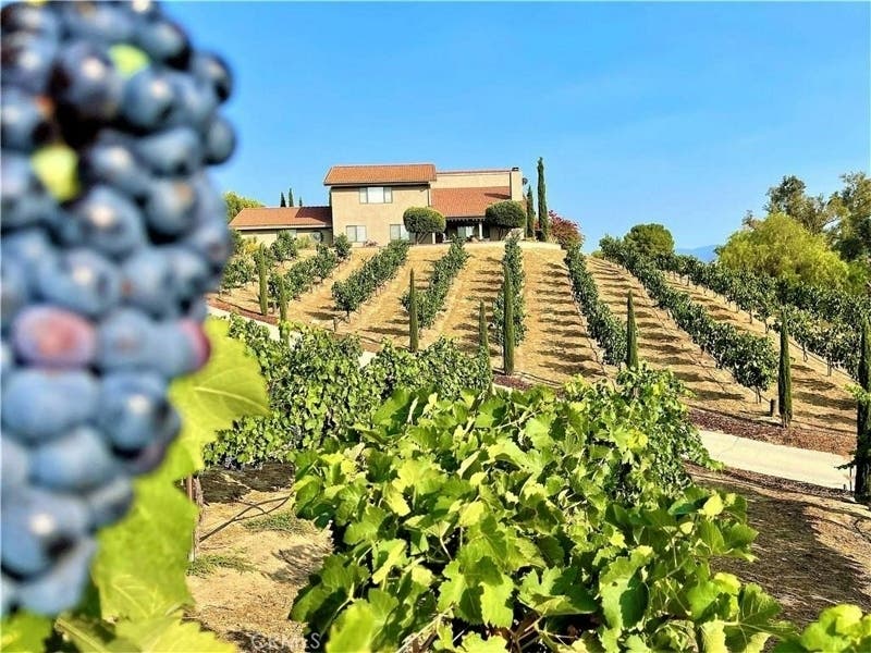 40995 Via Fernando is offered at just under $2 million. The property has a producing vineyard that fills over 1,000 bottles of Syrah each harvest year, according to Real Estate agent Lorie Anne Auer.