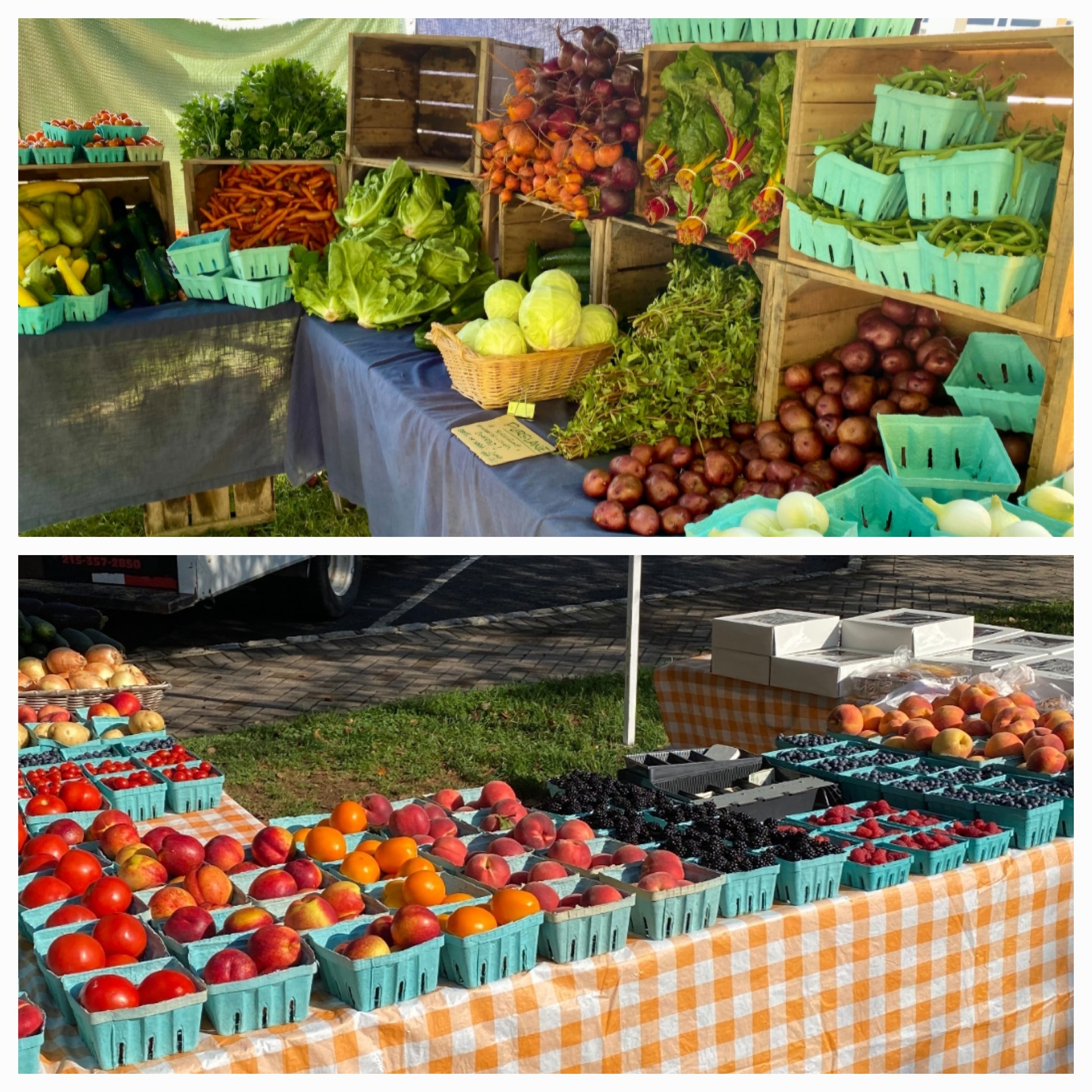 Yardley Farmers Market