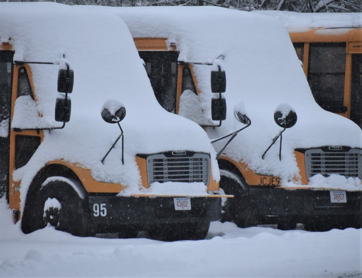 Sudbury school buses socked in during a 2019 snowstorm. 