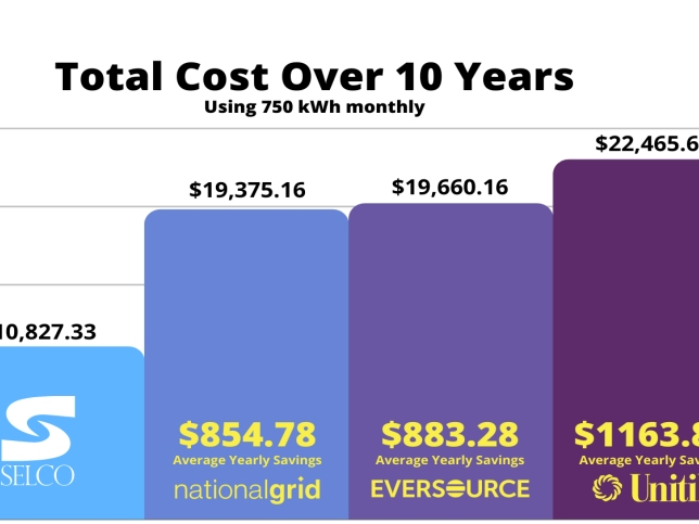 Shrewsbury raised electricity rates by 10 percent this year, one-fifth of what National Grid is proposing to do. 