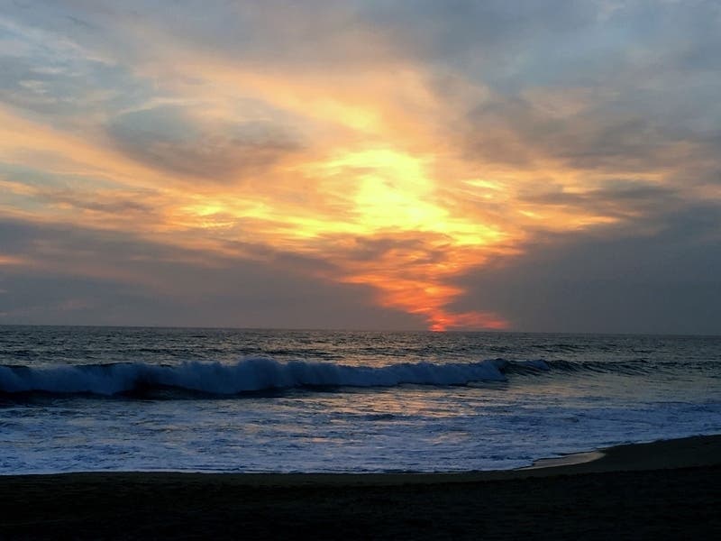 Some Washington Beaches May Be Unsafe For Swimming, Report Finds