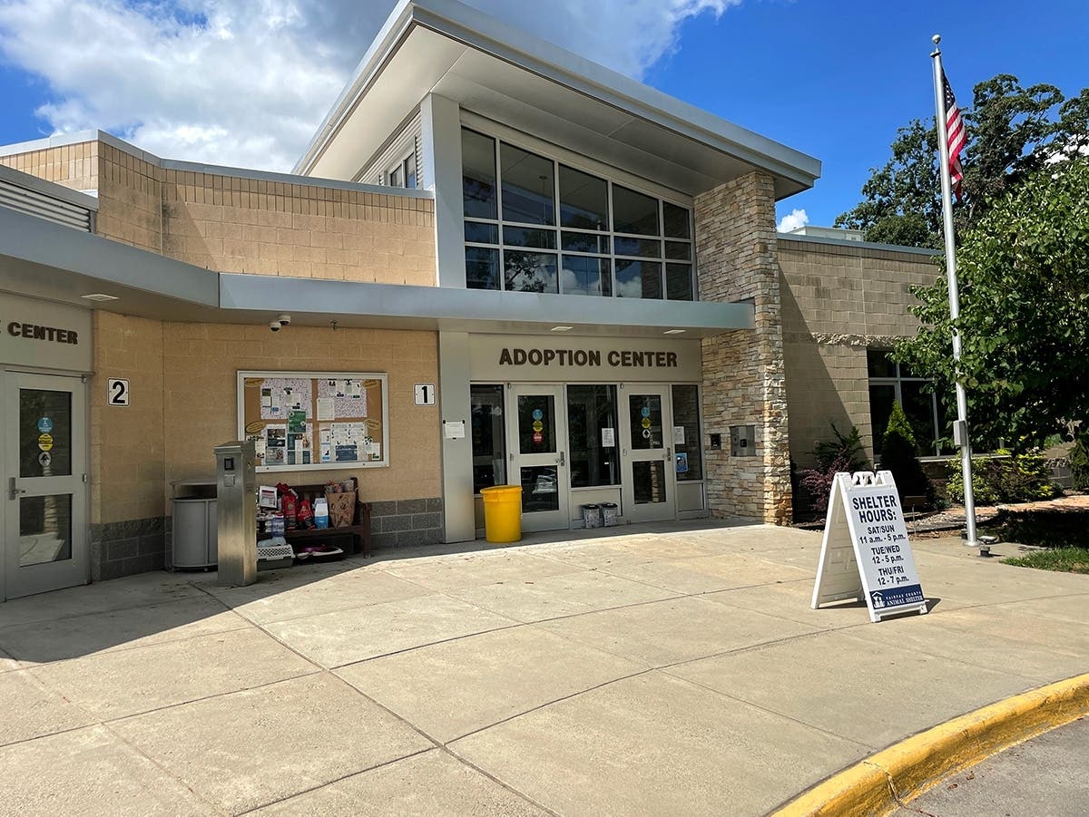 The Fairfax County Animal Shelter is offering free and reduced price adoptions to help clear the shelter for maintenance.