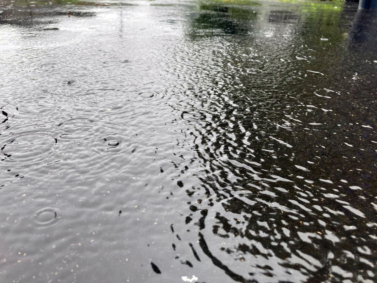 Rain is in the forecast for Northern Virginia as much of the Northeast sees a nor'easter with snow, the National Weather Service said.