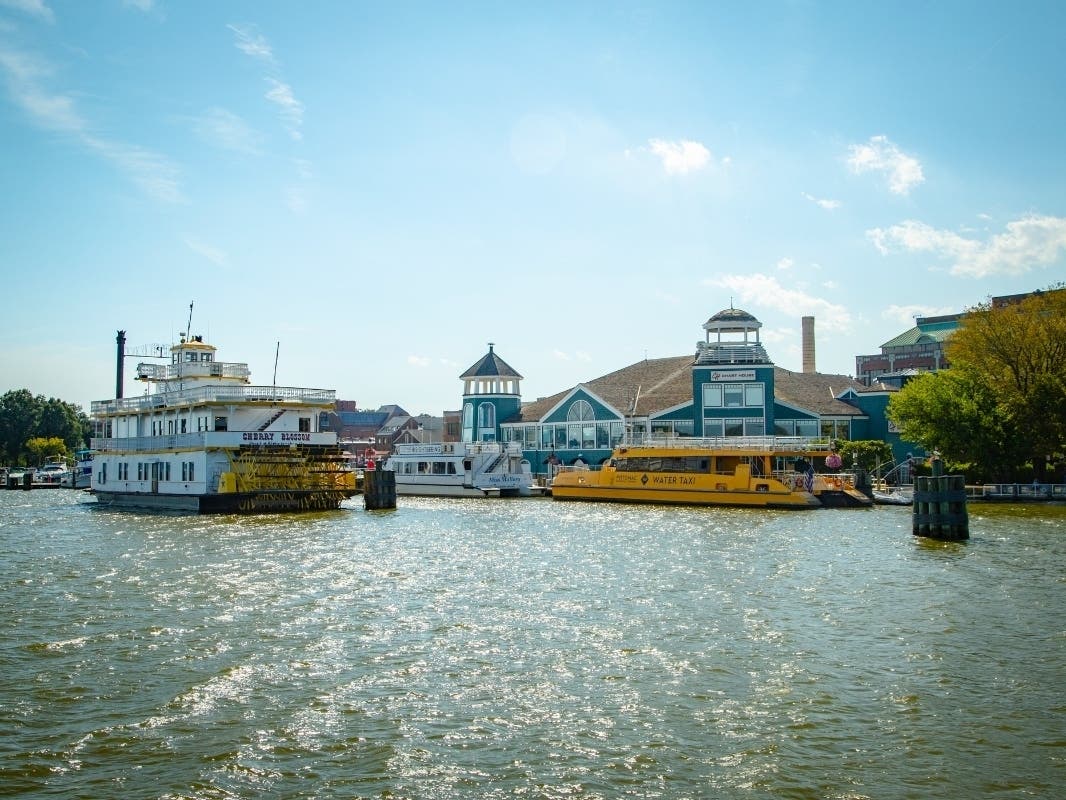 Water taxis to the cherry blossoms are one spring event highlight in Alexandria. 