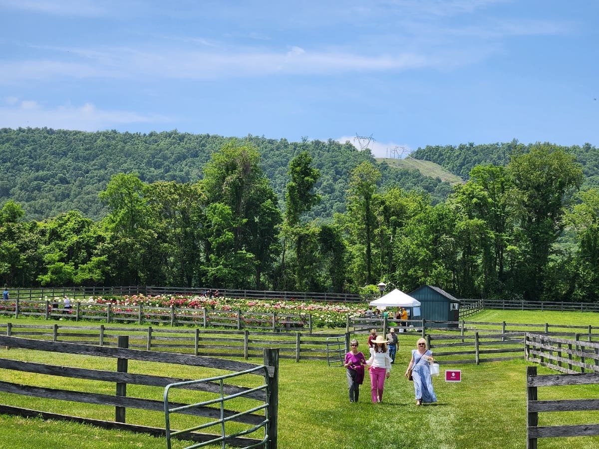 Loudoun County's Spring Farm Tour will return with activities and demonstrations at a variety of farms. Pictured is Midsommar Farm. 