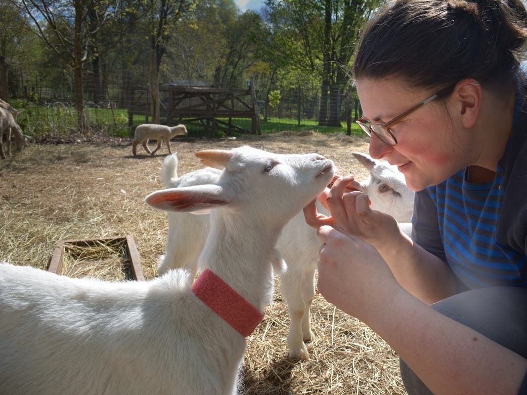 Loudoun Farm Tour is one of the weekend event highlights around Northern Virginia and DC.