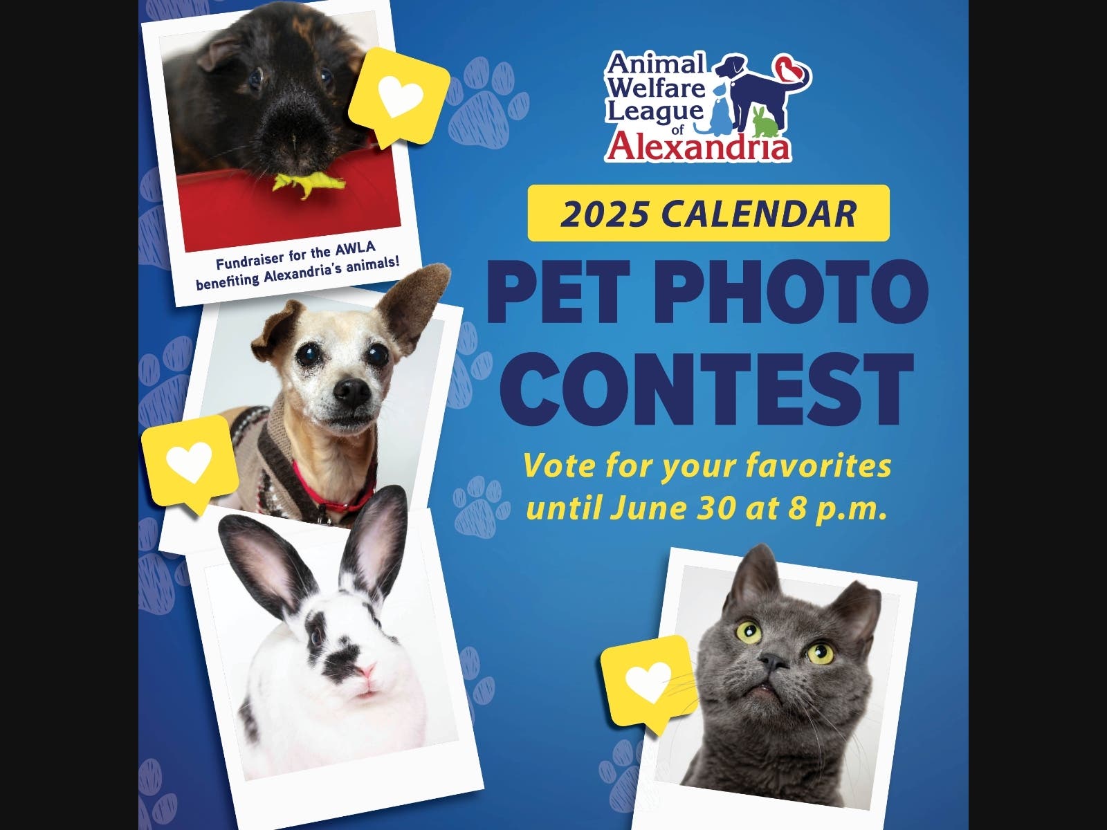 The Animal Welfare League of Alexandria's pet calendar contest winners are entered to win prizes, but contest voters can also win the prize of naming kittens.