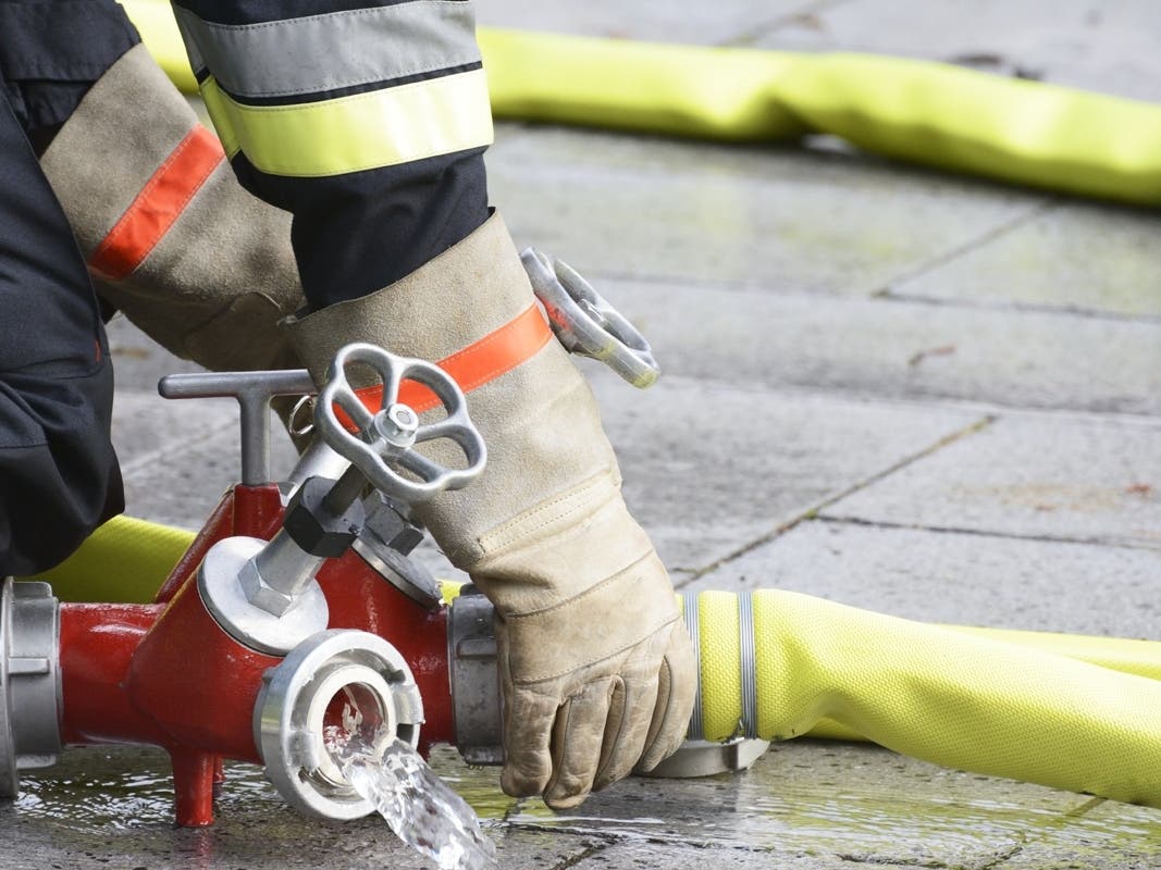 A family and their pets safely escaped a fire in Warrenville early Wednesday. 