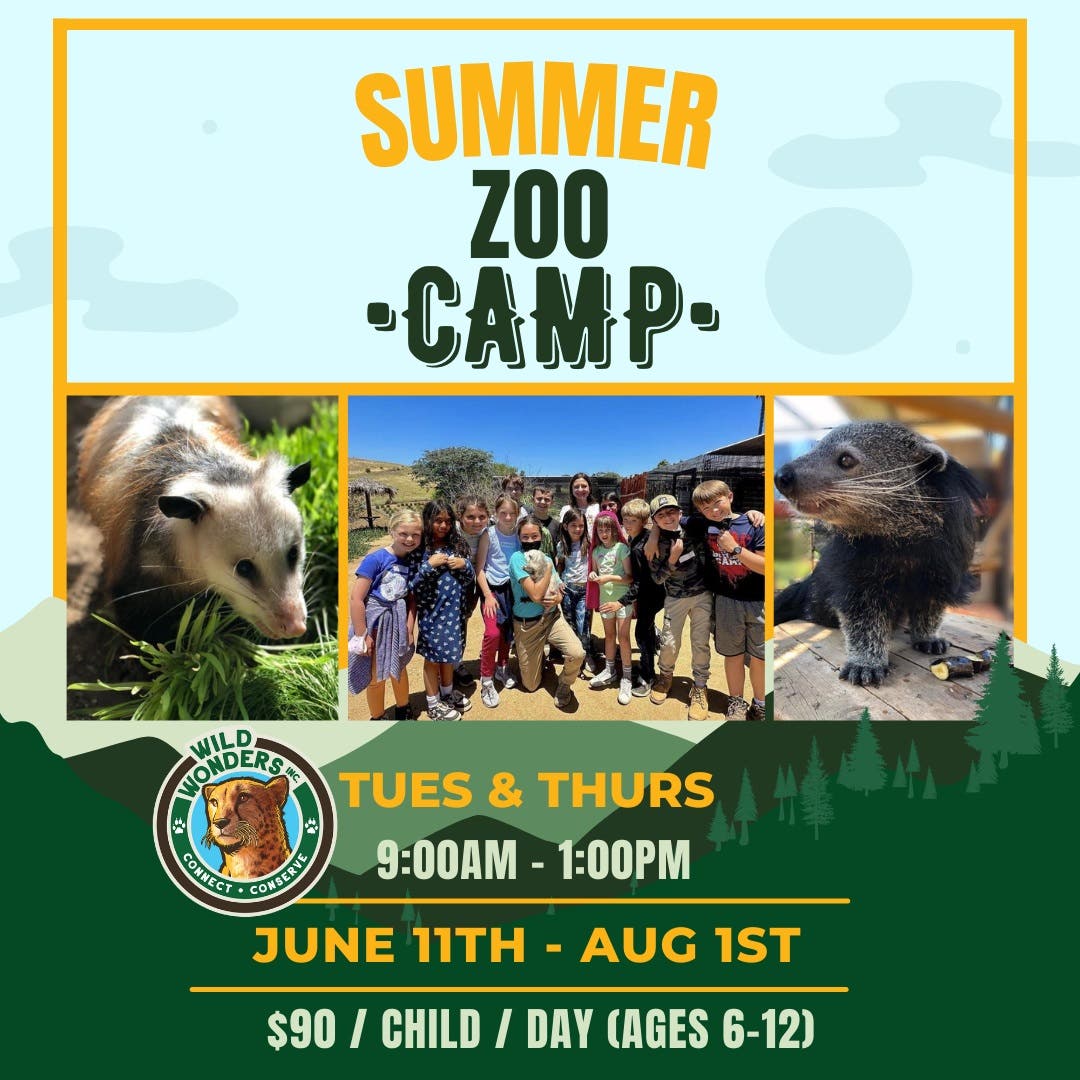 Zoo Camp!