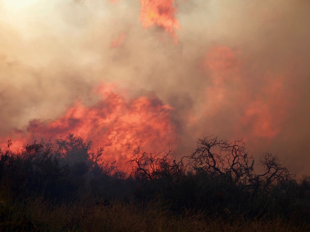 Fighting Wildfire With ‘Good Fire': California Must Return To Prescribed Burns: Opinion