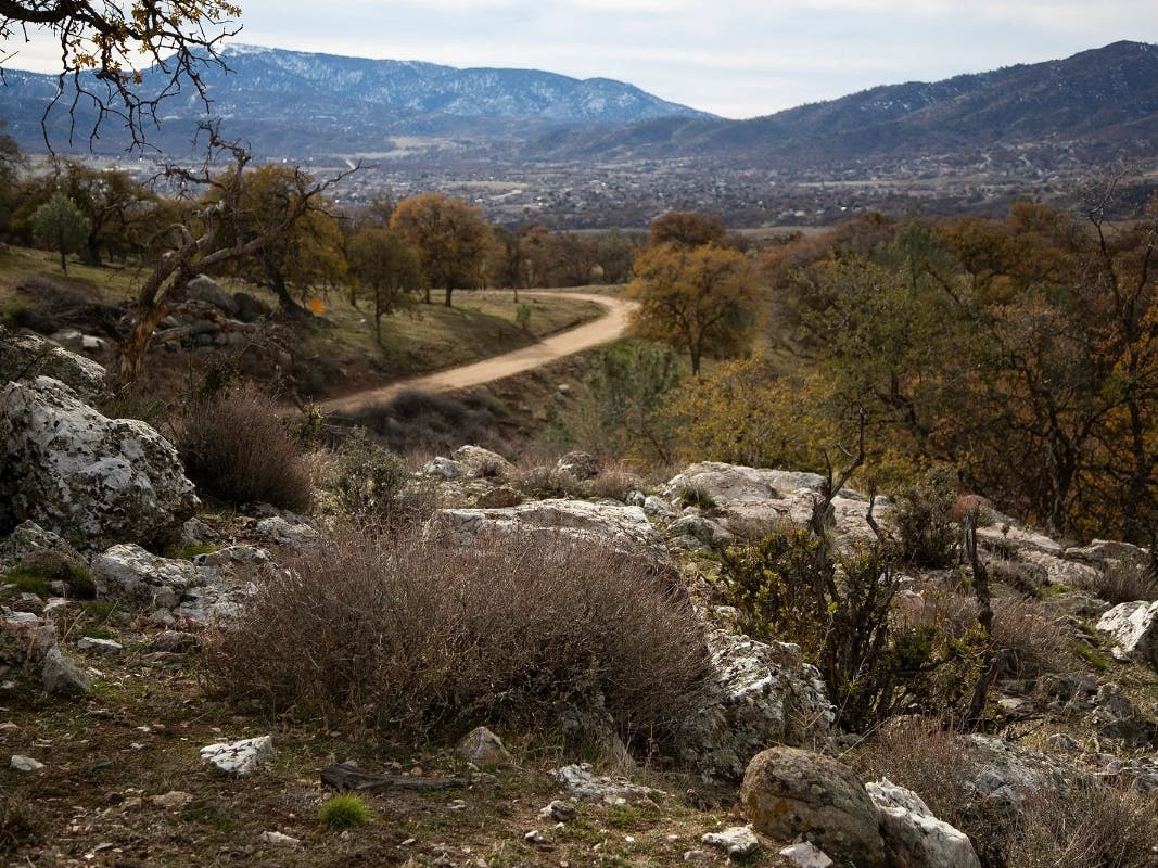 A Soil Fungus That Can Kill Is On The Rise In California: What To Know About Valley Fever