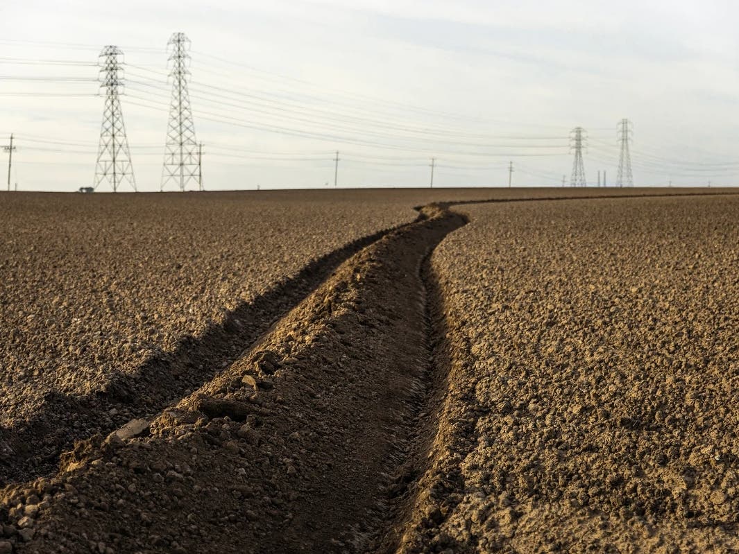 Dangerous Herbicide Used On California Crops Banned