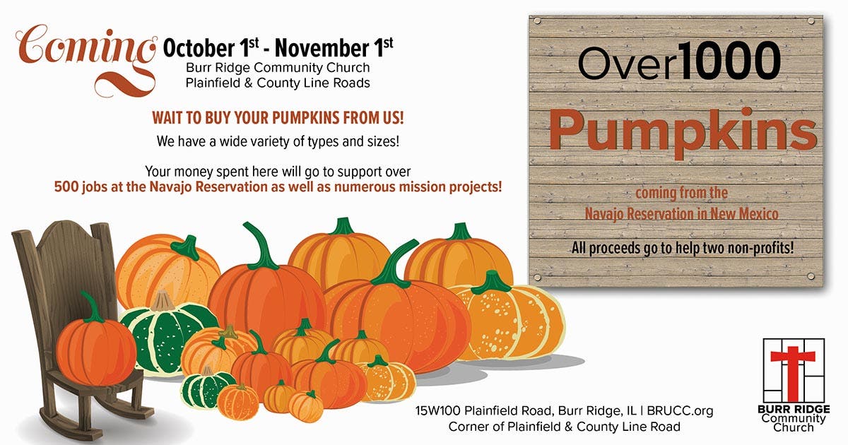 Pumpkin Patch Open the Month of October: Pick Your Pumpkin 1,000 Choices! 